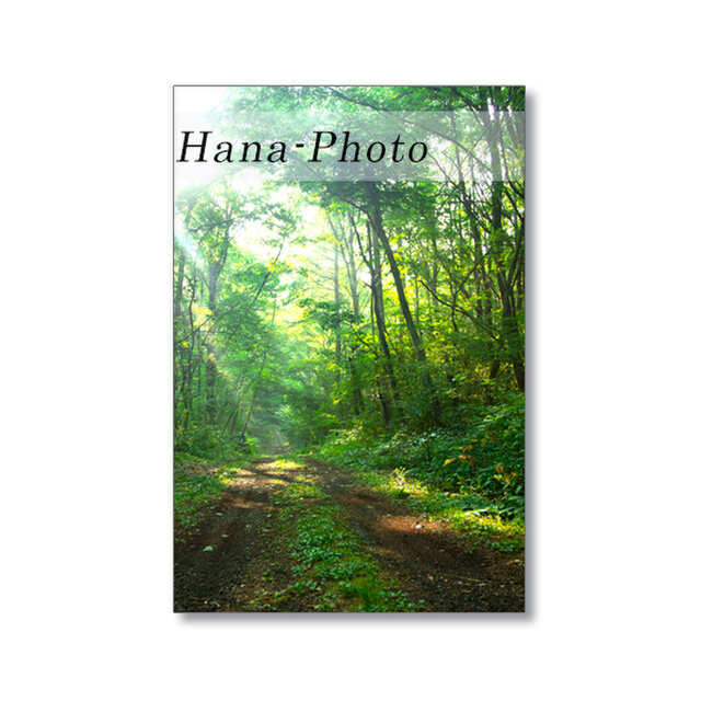 1656) 湖と山の風景　涼やかな風景　  ポストカード5枚組