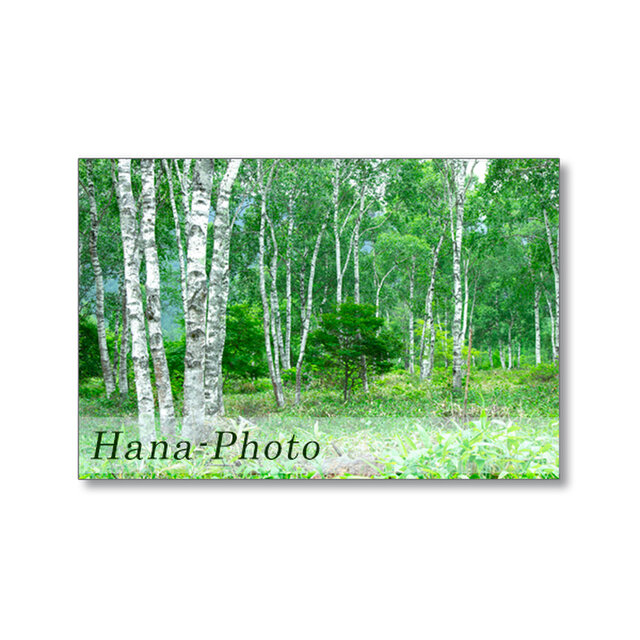 1656) 湖と山の風景 涼やかな風景 ポストカード5枚組 | iichi 日々の