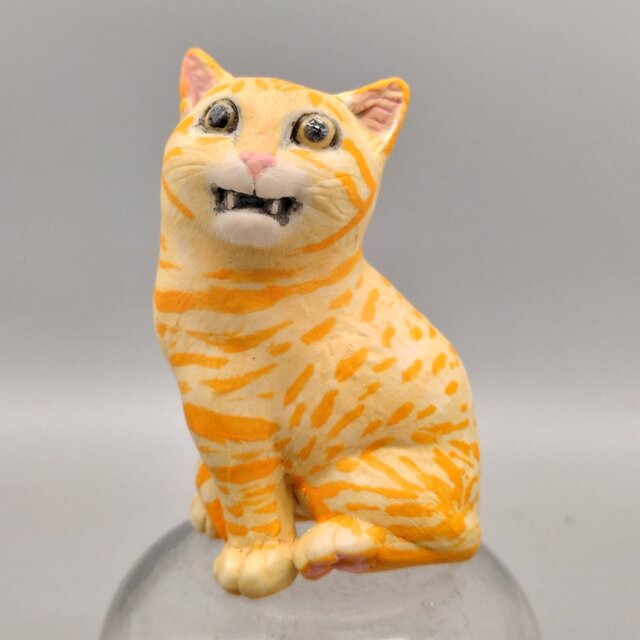 200gAs  フレーメンネコ