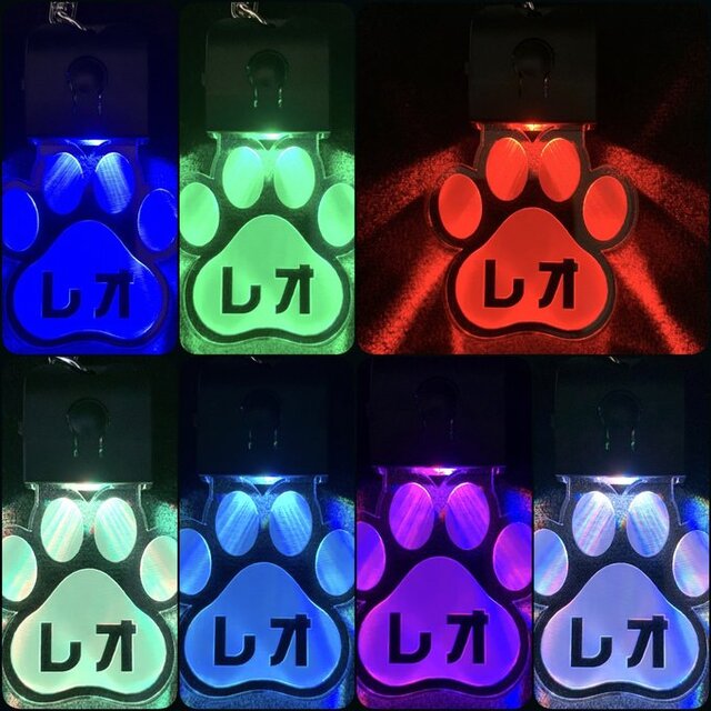 送料無料】充電式LEDチャーム ペットキーホルダー 名入れ 愛犬用 名前