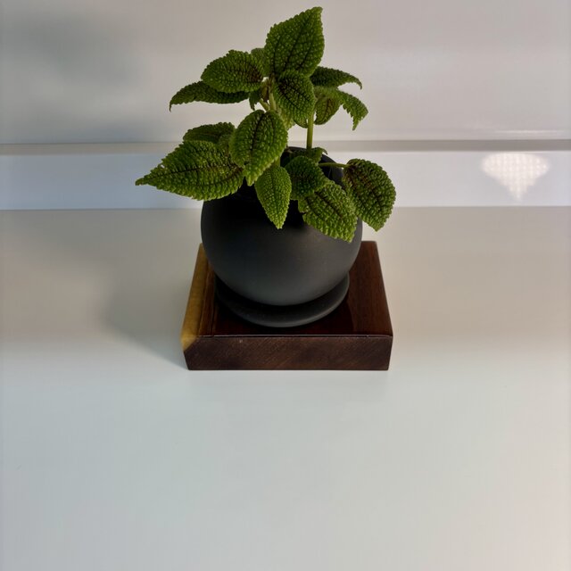 盆栽台 花台 飾り台 木製 おしゃれ モダン 観葉植物 フラワースタンド