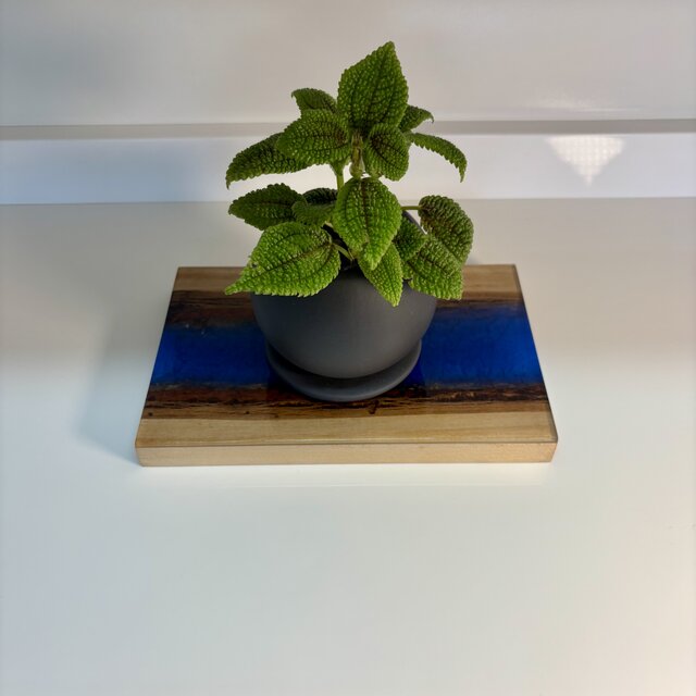 花台 飾り台 木製 おしゃれ 観葉植物 フラワースタンド 敷板トレー 小物置き 花台 飾り台 木製 無垢材 天然木 おしゃれ モダン 観葉植物