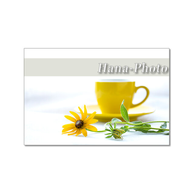 1716) ルドベキアとアガパンサスのデザイン　 　ポストカード5枚組