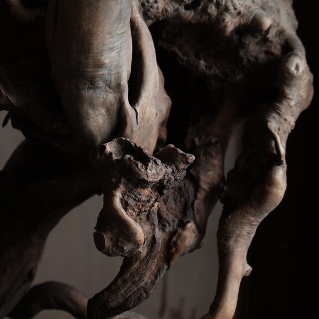 素敵な形状◇根木 インテリアオブジェ 花台 自然 芸術的 大きい