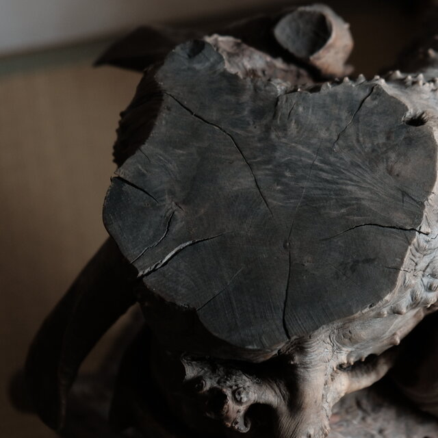 素敵な形状◇根木 インテリアオブジェ 花台 自然 芸術的 大きい