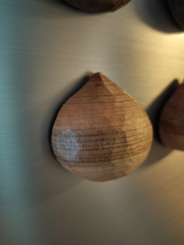 木の栗のマグネット　桜