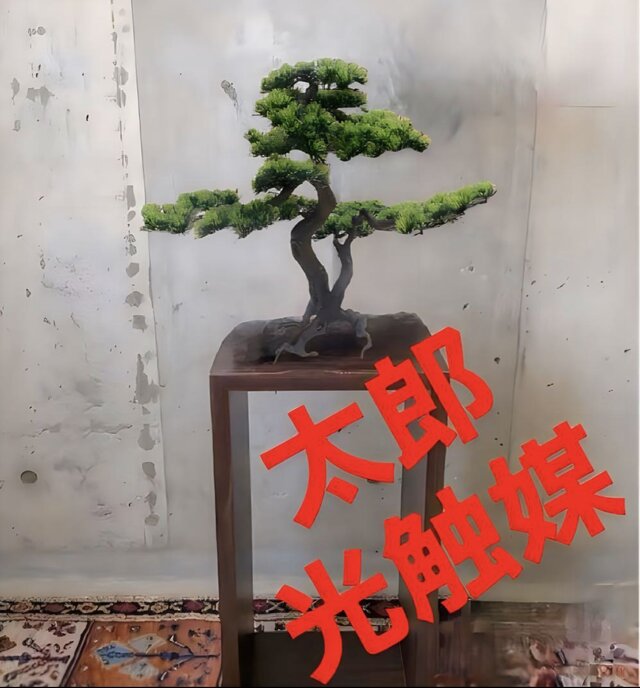 光触媒　人工観葉植物　ウォールグリーン　フェイクグリーン　盆栽bonsai