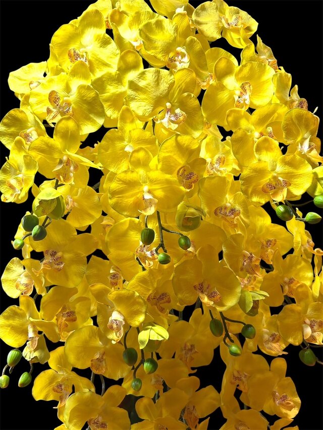 光触媒 人工観葉植物 ウォールグリーン フェイクグリーン 胡蝶蘭黄色