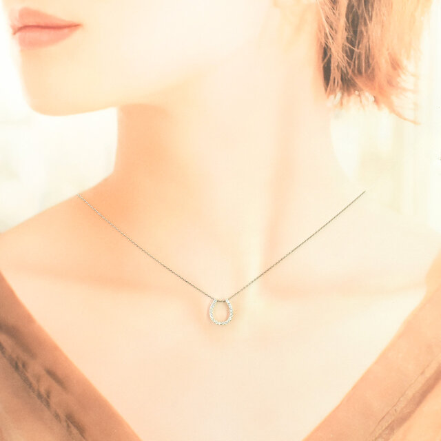 ホースビット】シルバー925ペンダント プレーティング可【受注生産】S