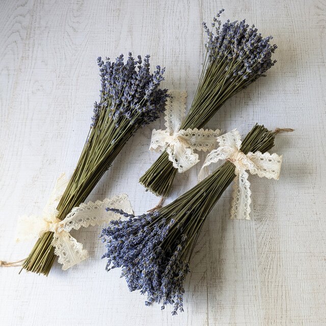 ラベンダーのシンプルな壁掛けアレンジ（Mサイズ）