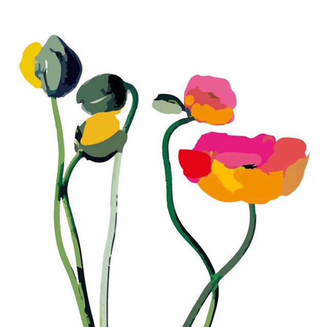 情熱フラワー　花　送料無料 　個性ダントツ　イラスト　A4〜A0　ポスター　アートポスター　アートsei検索新着順　1840