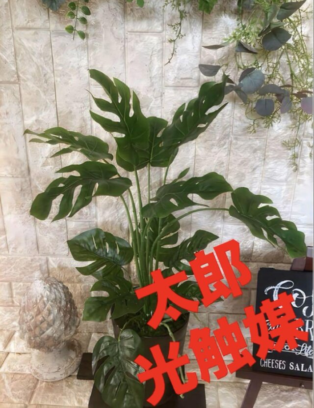 光触媒　人工観葉植物　ウォールグリーン　フェイクグリーン　pモンステラjp
