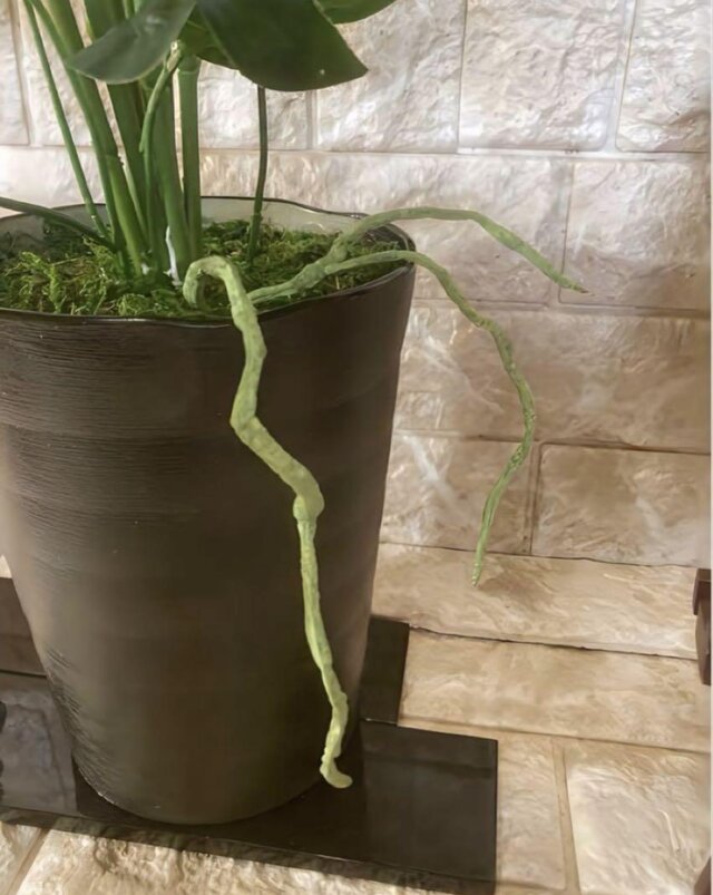 光触媒 人工観葉植物 ウォールグリーン フェイクグリーン pモンステラ
