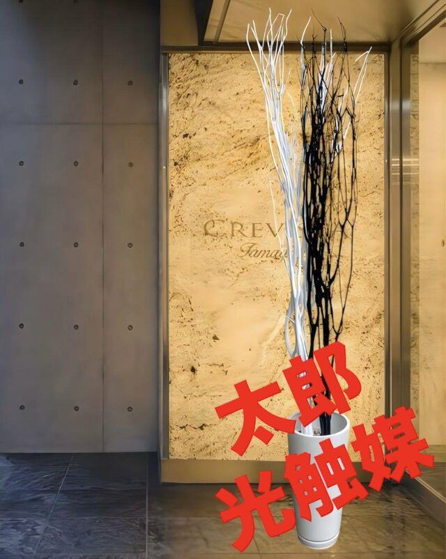 光触媒　人工観葉植物　フェイクグリーン　ブラックホワイトブランチ花器付 光触媒 人工観葉植物 フェイクグリーン ブラックホワイト