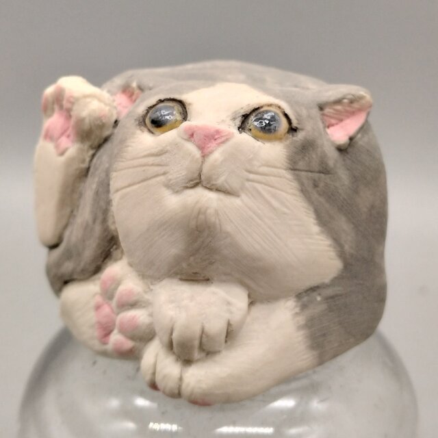 200gAs  箱の中ねこ