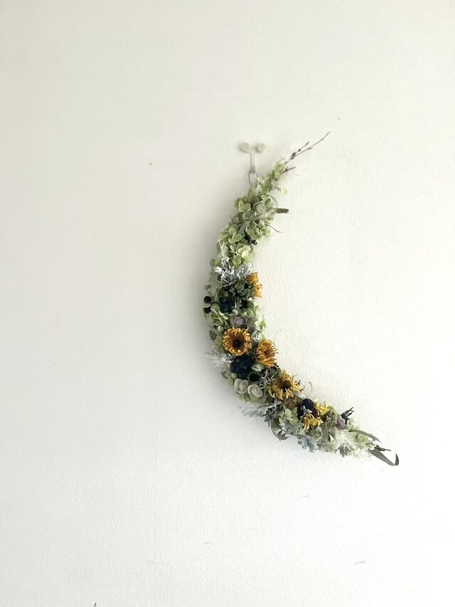 夏の繊月  ~向日葵とアナベル