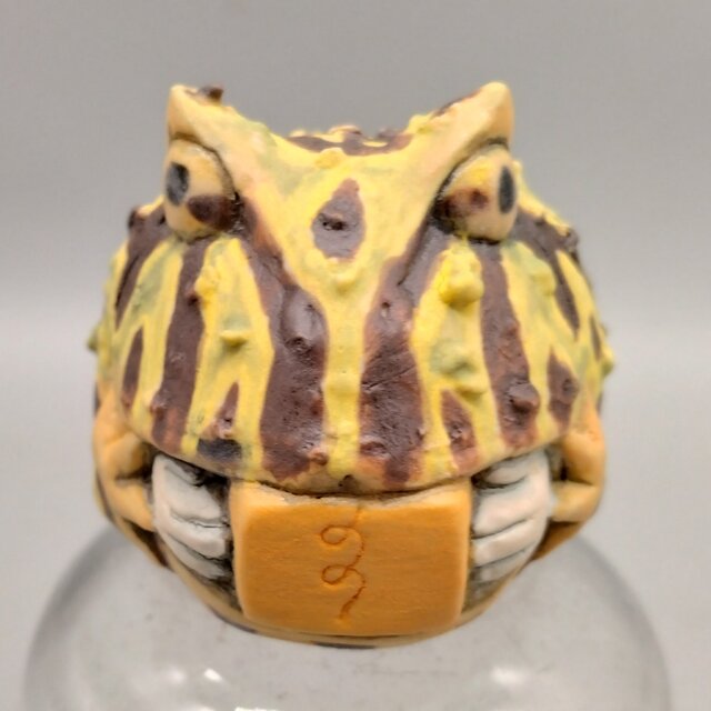 200gAs  ウツロブネツノガエル