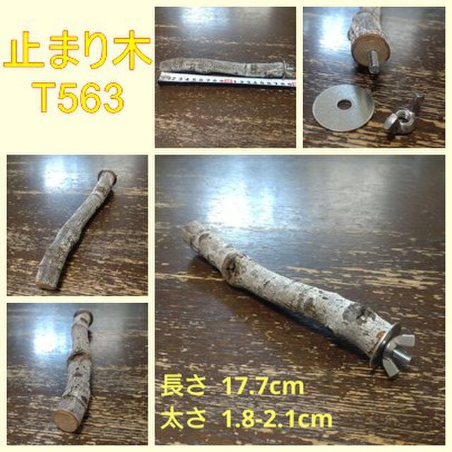 止まり木（枝：TOY-08-015）T563