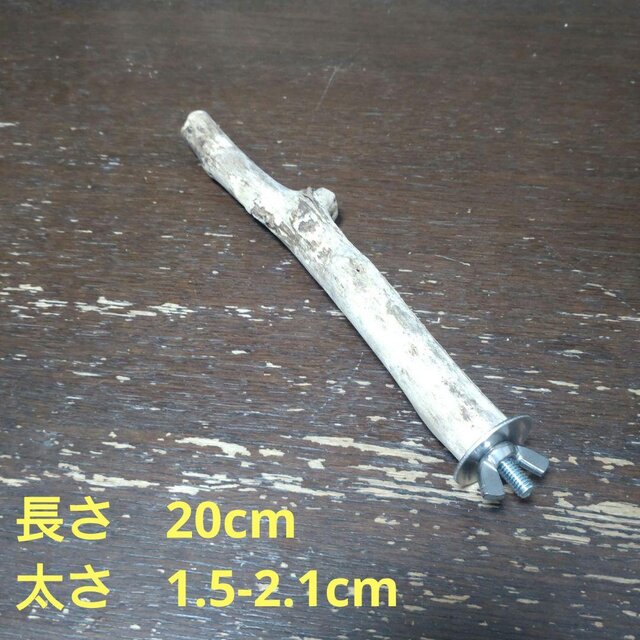 止まり木（枝：TOY-08-015）T525 | iichi 日々の暮らしを心地よくする