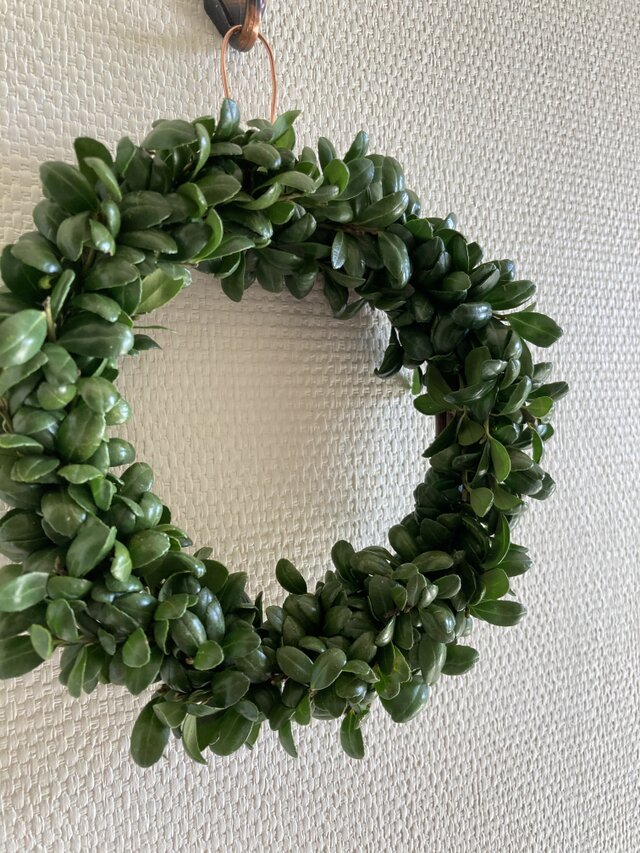 受注制作森の雰囲気リース ♢受注制作♢ 柘植(ツゲ)のフレッシュリース | iichi 日々の