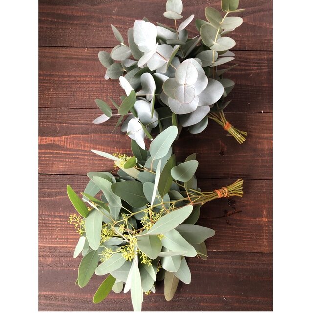 ドライフラワーリース　ユーカリリース　ドライフラワースワッグ　ユーカリ ユーカリのドライフラワー（ｽﾜｯｸﾞ） スワッグ nyao-mery 通販 13879080