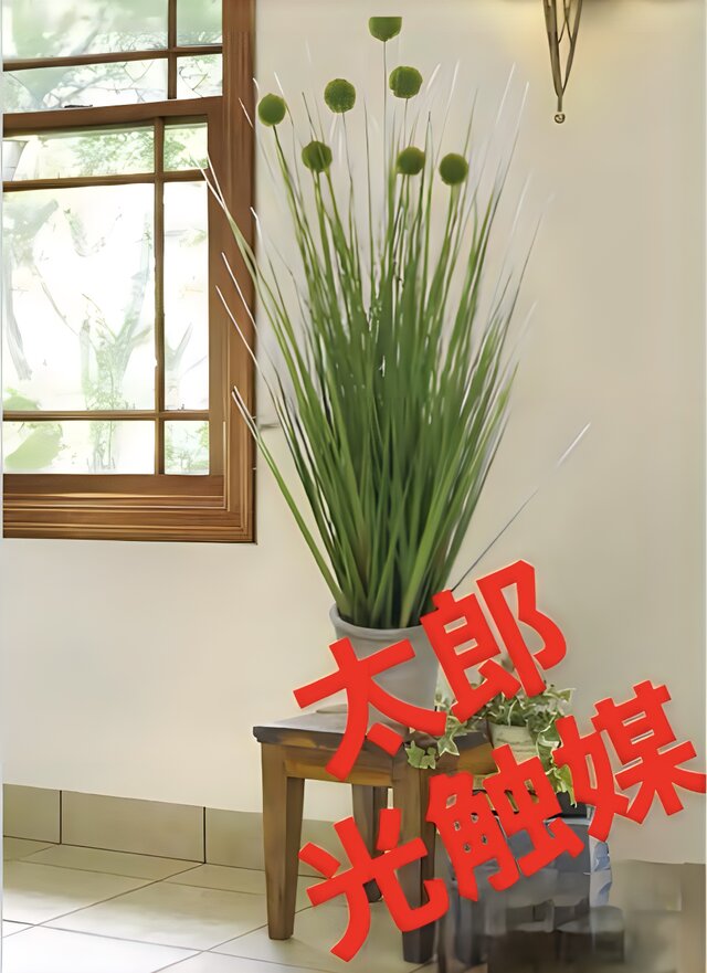 光触媒 人工観葉植物 ウォールグリーン フェイクグリーン ボール