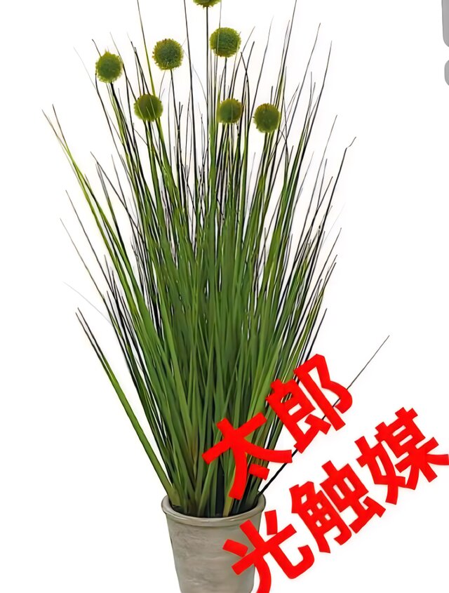 光触媒 人工観葉植物 ウォールグリーン フェイクグリーン ボール