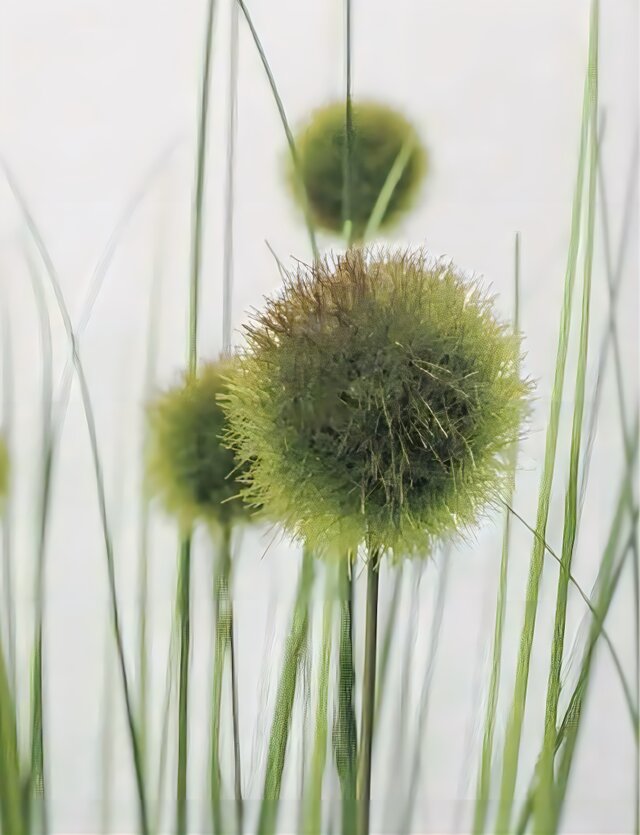 光触媒　人工観葉植物　ウォールグリーン　フェイクグリーン　ブーゲンビレアリアナz 光触媒 人工観葉植物 ウォールグリーン フェイクグリーン 壁掛け