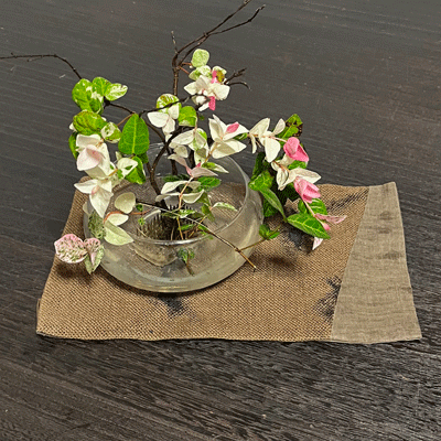 フリーマットK25069