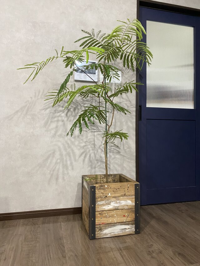 特価1点物 鉢カバー プランターカバー Mサイズ相当