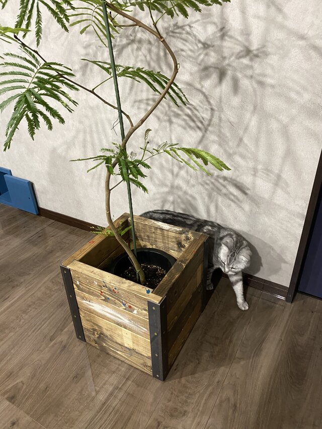 特価1点物 鉢カバー プランターカバー Mサイズ相当 | iichi 日々の