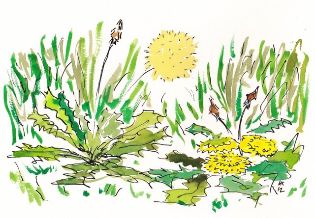 タンポポの水彩絵 | iichi 日々の暮らしを心地よくする