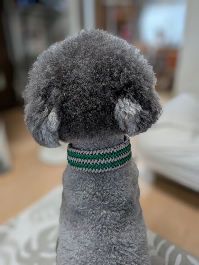 パラコード首輪 大型犬用バックルタイプ (内周40cm) サイズを小さく