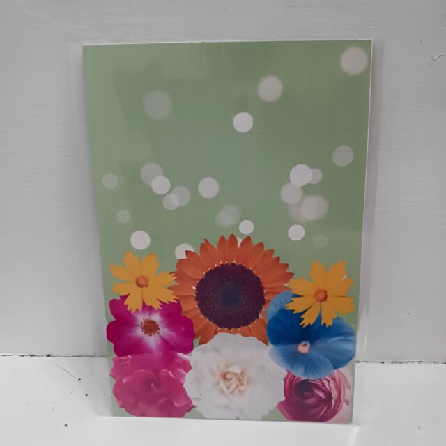 ポストカード　「お花イラスト」　2枚組