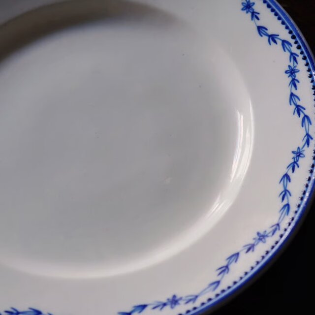 トゥルネー窯 Tournai とても古い花絵皿 tournai トゥルネー （トルネイ）軟質磁器 花リム レリーフ 皿