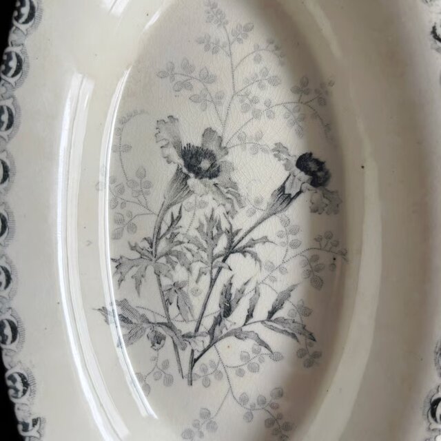 Choisy le roi ショワジールロワ ラヴィエ フランス アンティーク