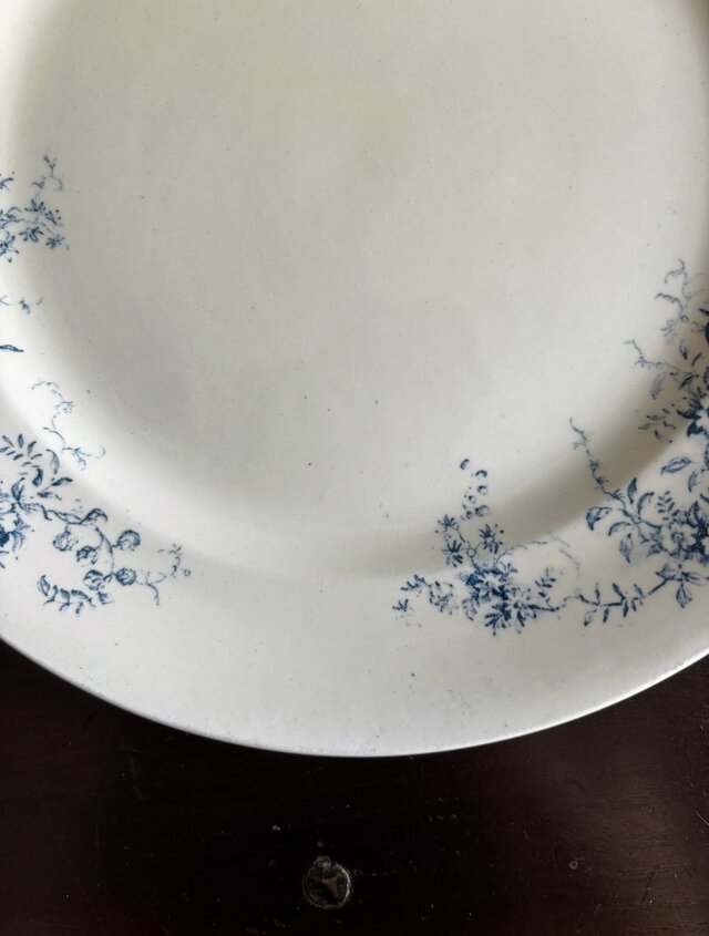 SALINS BIJOU サラン ロカイユ 大皿 平皿 φ27.8cm フランス