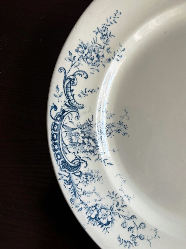 SALINS BIJOU サラン ロカイユ 大皿 平皿 φ27.8cm フランス