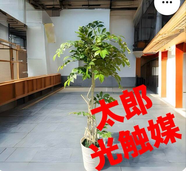 光触媒　人工観葉植物　ウォールグリーン　フェイクグリーン　マウンテンアッシュ@g 光触媒 人工観葉植物 ウォールグリーン フェイクグリーン