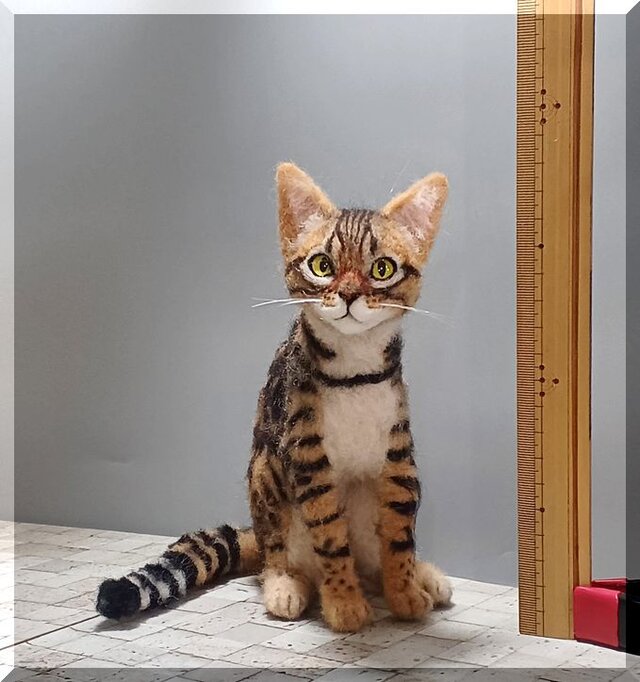 羊毛フェルト 猫 ☆☆ページ 楽天市場】羊毛フェルト玉 植毛ストレート キジトラ ミックス 3