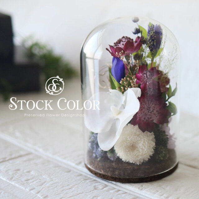仏花 アストランティアと胡蝶蘭のガラスドームアレンジ(L