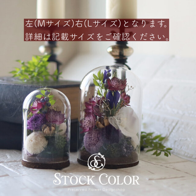 仏花 アストランティアと胡蝶蘭のガラスドームアレンジ(L