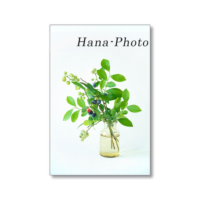 1650) ブルーベリー　 　ポストカード5枚組