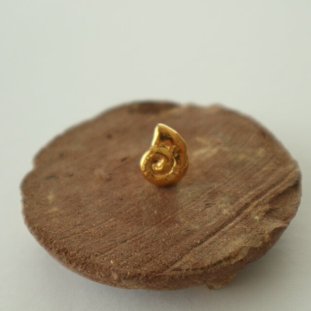 アンモナイト【ピンバッチ】