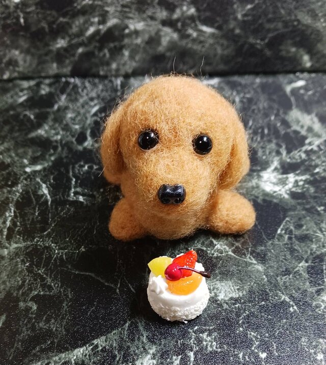 羊毛フェルトフワフワわんちゃん 赤いリボンクッション付き・ホール