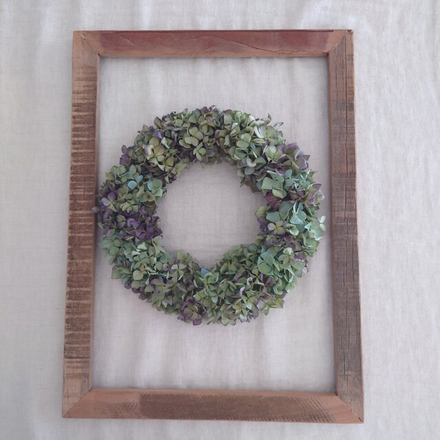 秋色紫陽花リース #1