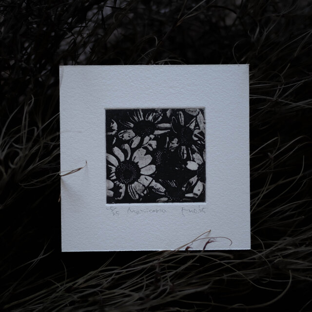 版画ゆうびん no.34 'Matricaria' （銅版画）