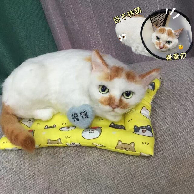 【オーダーメイド ペット】 猫 ぬいぐるみ リアル オーダーメイド 羊毛 フェルト オーダー うちの子、ペット似顔絵、犬 人形