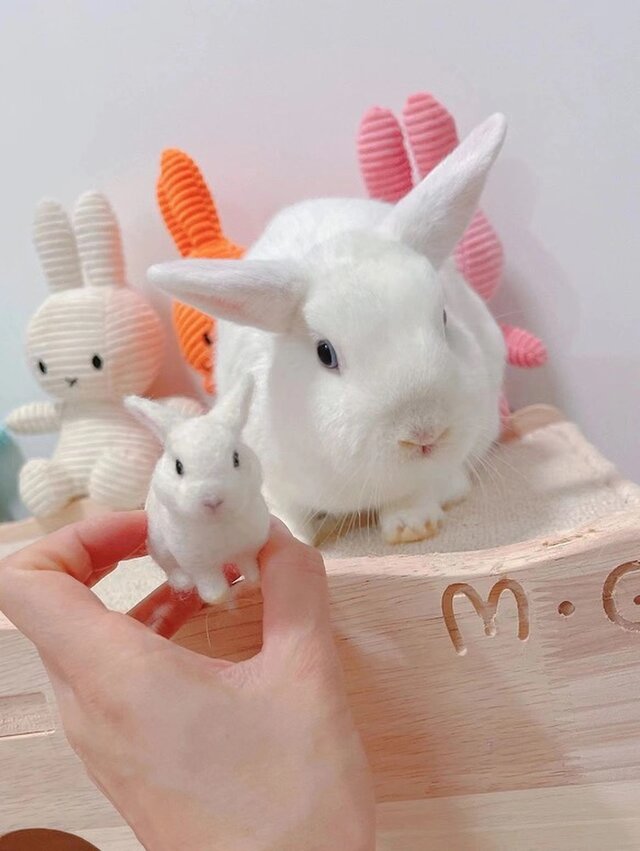 オーダーメイドペット】 ペット ぬいぐるみ 羊毛 フェルト