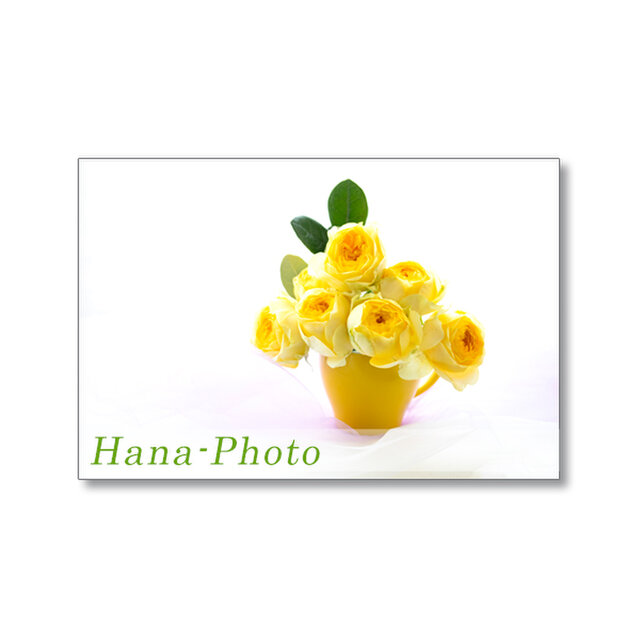 1683)黄色のスプレーバラ（ブライト・ゴールド）1  ポストカード5枚組